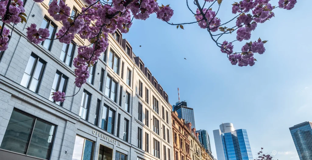esg-immobilienmarkt